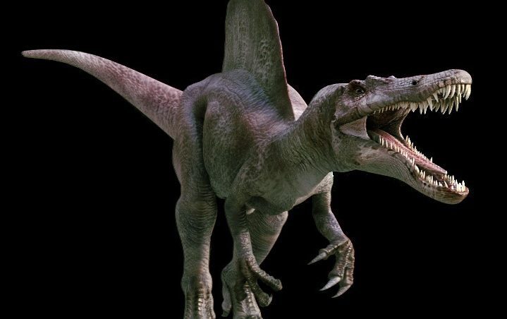 ¿cómo se llama el dinosaurio carnivoro más grande del mundo?