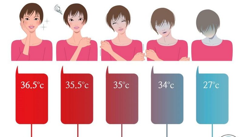 ¿cuál es la temperatura minima y máxima del cuerpo humano?