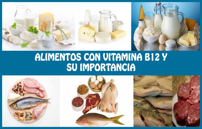 ¿qué alimentos contienen más vitamina b12?