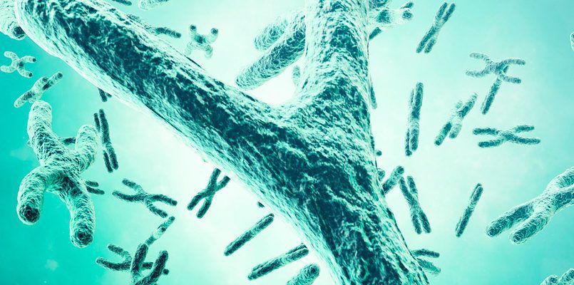 ¿qué enfermedades están relacionadas con el cromosoma 15?