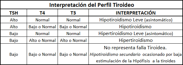 ¿cuál es la medida normal de la tiroides?