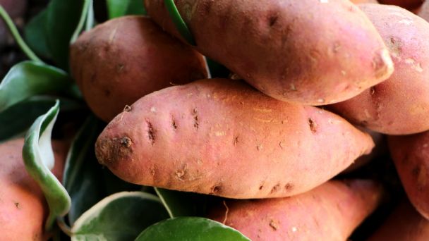 ¿qué verdura se parece a la batata?
